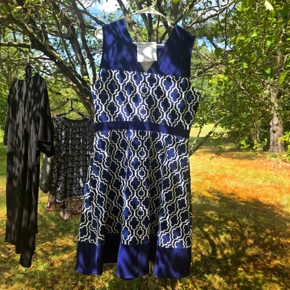 Lands End Blue And White Dress Sz 14